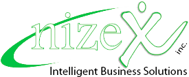 Nizex logo